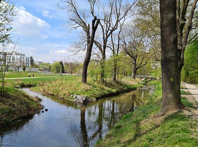 Ostrůvek na Rokytce
