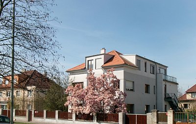 Rozkvetlá magnolie.