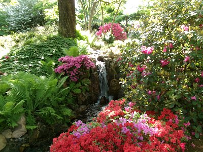 Japonská zahrada 1.jpg