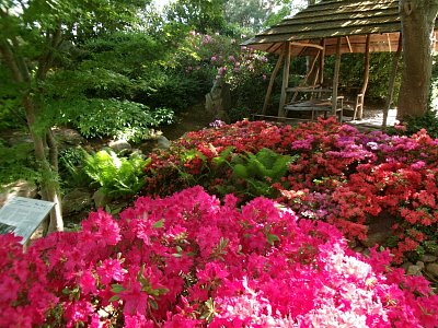 Japonská zahrada 2.jpg