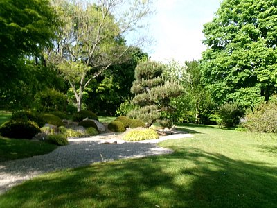 Japonská zahrada 3.jpg