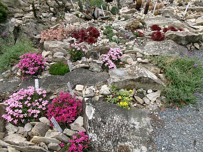 Na Výstavě skalniček U Fausta