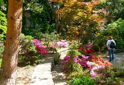 Výstava skalniček v zahradě U Faustova domu