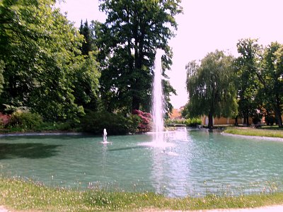 Jezírko v parku za Sadovou kavárnou ve Frant. Lázních