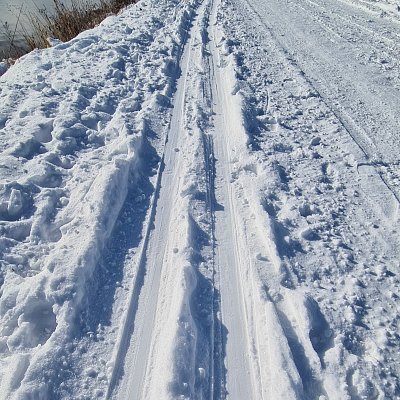 Běžecká stopa podél Vltavy