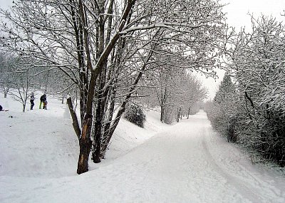 Zima pod Mostnou horou