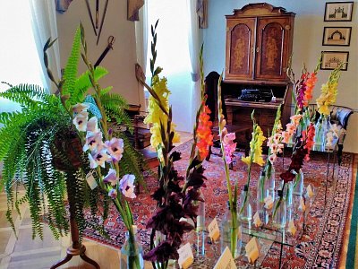 Mečíky, nebo chcete-li gladioly, ozdobily všechny zámecké místnosti.