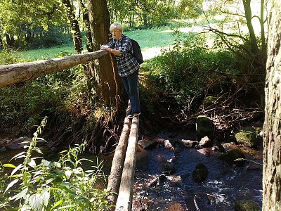 12. Dvě možnosti, jak se dostat na druhý břeh. Brodění, nebo houpající klády.