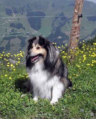 16. v rakouských Alpách