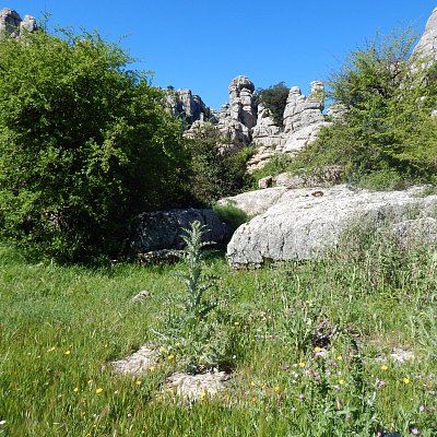 Živá a neživá příroda