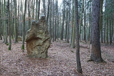 15 Největšímu z kamenů na Špičáku se říká Král.