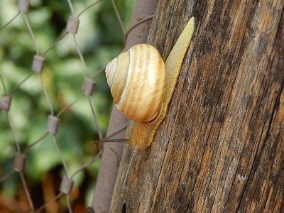 Nepatří do expozice, ale své místo si našel