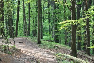 14-Před námi asi kilometrový sestup.jpg