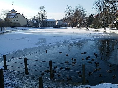 Rybník Obora v parku Budoucnost