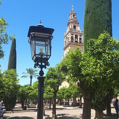 Cordoba