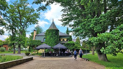 1688928430-IMG_20230609_153554 - kopie.jpg