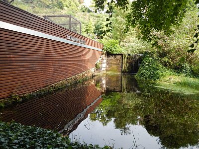 Jezírko u Darwinova kráteru