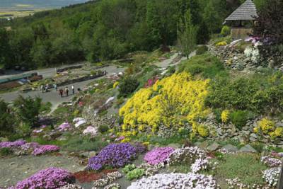 17-Arboretum Makču Pikču