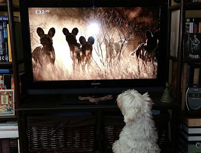 To je tak napínavý..!