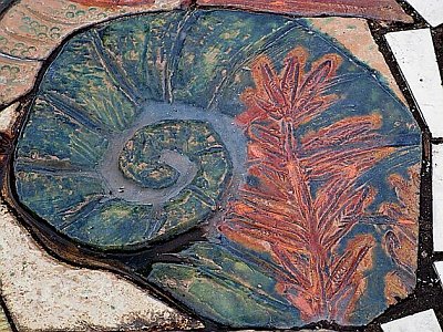 Amonit moderní doby