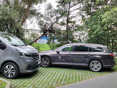 Zaparkovaná auta měla štěstí, že na ně nespadl padající strom.