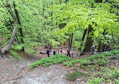 19-cikcak-stoupani-prirodni-stezkou.jpg