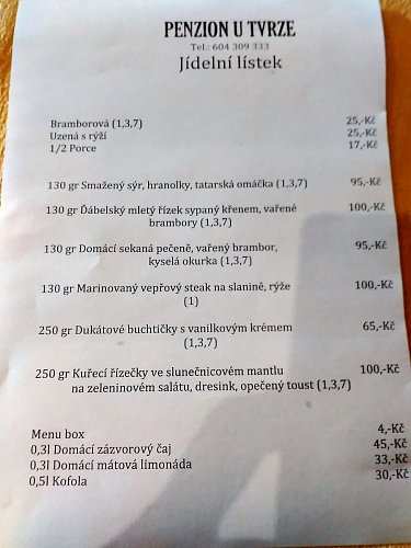 Vybrala jsem si bramborovou polévku a po ní ďábelský řízek.