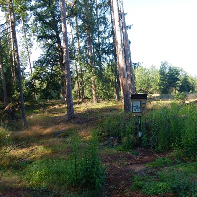 Pohled na tabuli z lesní cesty