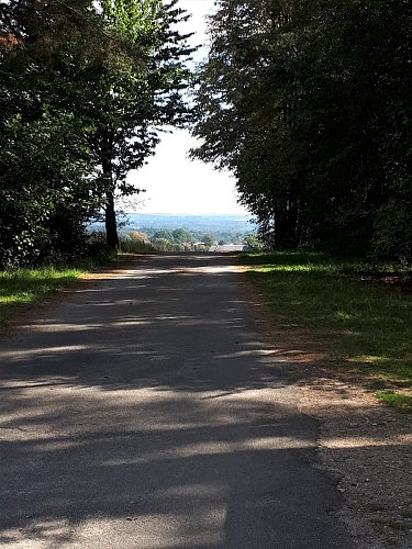 Na zpáteční cestě