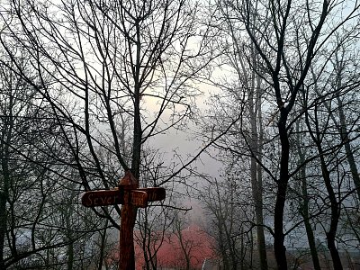 Slunce v ranní mlze