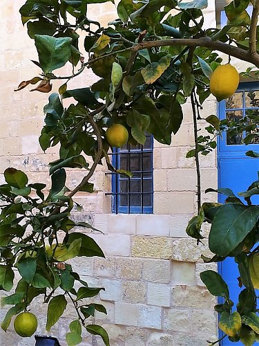 V zahradě Inkvizitorského paláce.