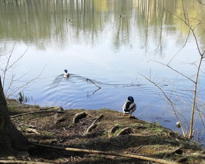 Není ta voda moc studena?