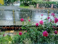 Kéž by konečně !