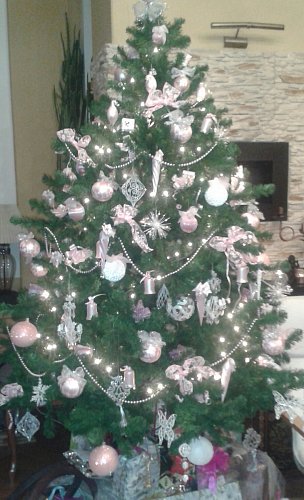 Domácí vánoční koncert