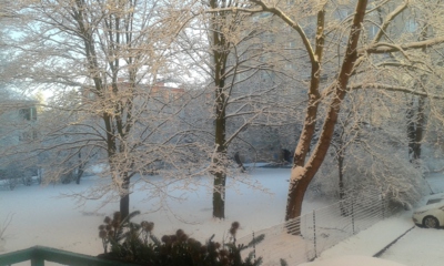 Ranní rozhled z okna