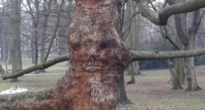 Zblízka se i usměje