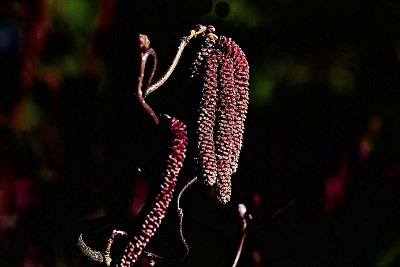 2020-03-30-dsc-1064-2-1-originál Radek.jpg