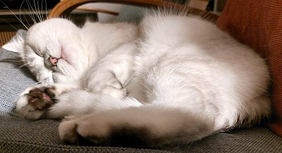 Jen si lehnu na záda, hned na mě vleze