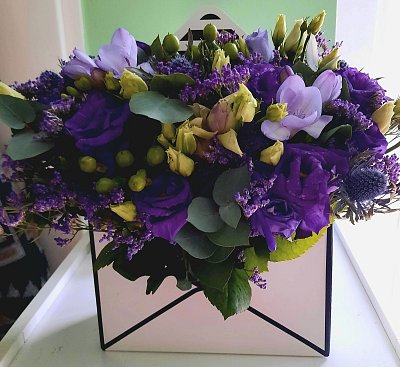 Jednou takhle znenadání... fialové přišlo psaní...