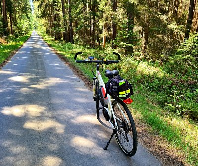 Lesní cesta z Kolenců