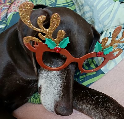 Ještě si ty svátky trochu užiju..