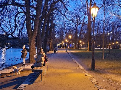 Z mého (nočního) života