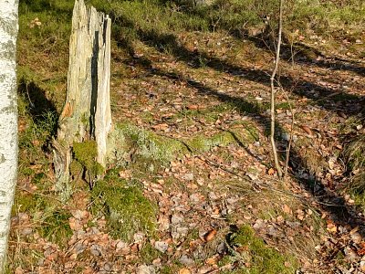 Uschnout na stojáka.