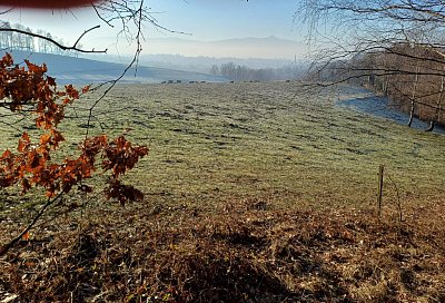 Na obzoru kravičky pana Škody.