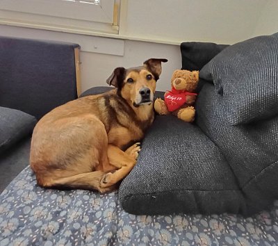 Dorinka je už doma. Spokojená a čeká na paničku.