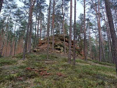 Jen tak pohozená skála v lese.