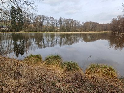 Křesla pro hastrmana.