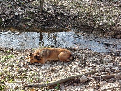 Dál mne nedostaneš.