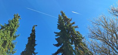 I slzy jsou dnes jiné