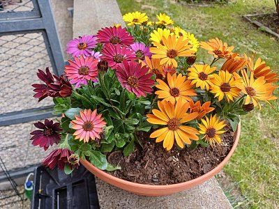 Potěšení pro oči i duši.